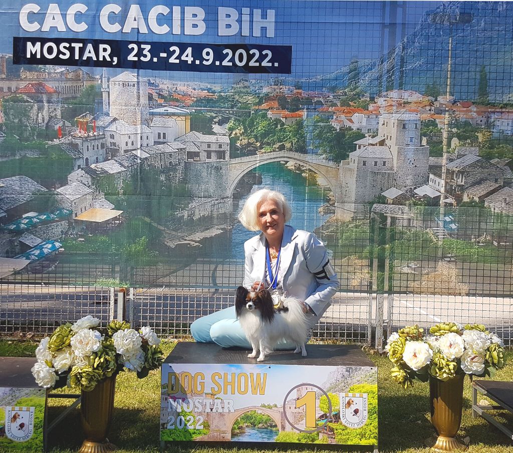 des Jolis Morphos D'Eugénie - Expo Internationale Mostar 23-24 09 22